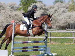 2016 Sydhavscup spring 1. del - 8. maj